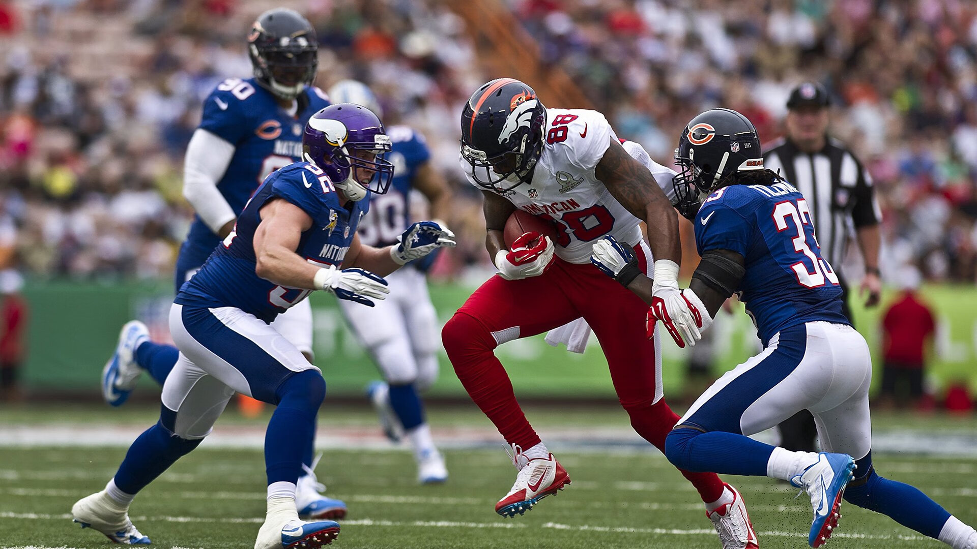 意大利女队未来潜力巨大，意大利女球迷热烈庆祝夺冠